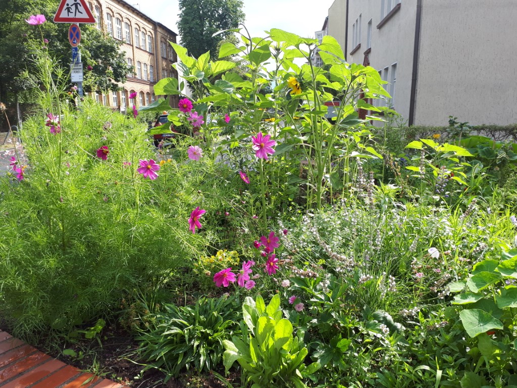Gartenansicht